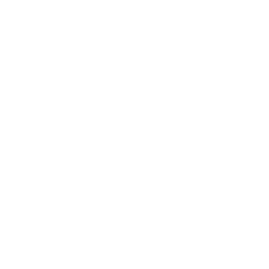 Restores Lost Power & Performance