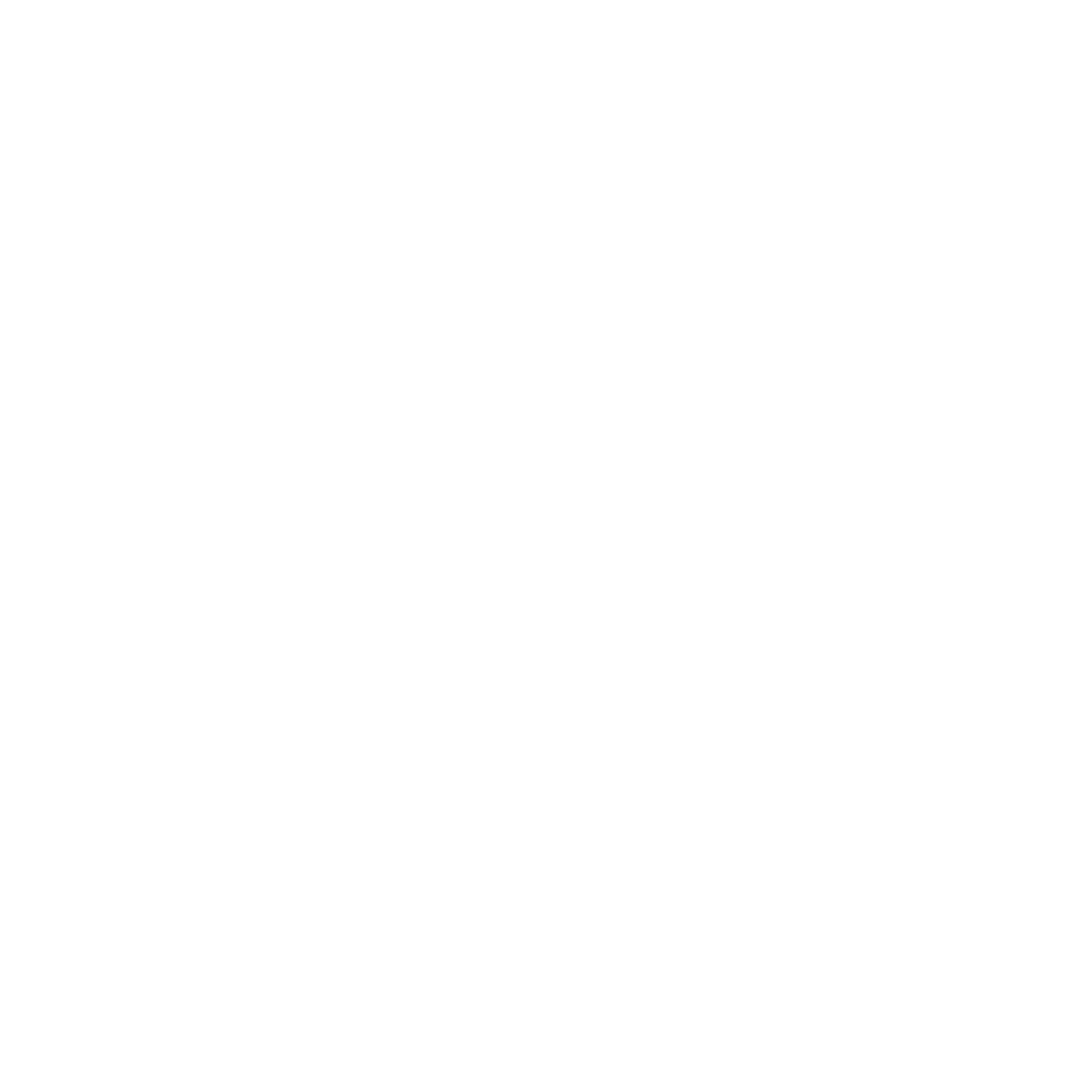 icon - tire