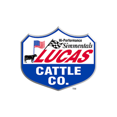 Forrest Lucas, CEO and Co-Founder of Lucas Oil, Transitions to